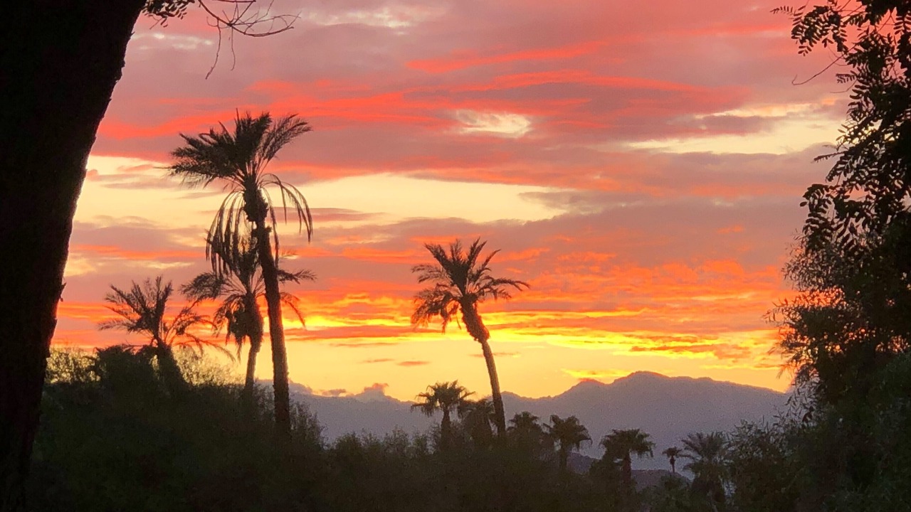 Photo of Others in Indio