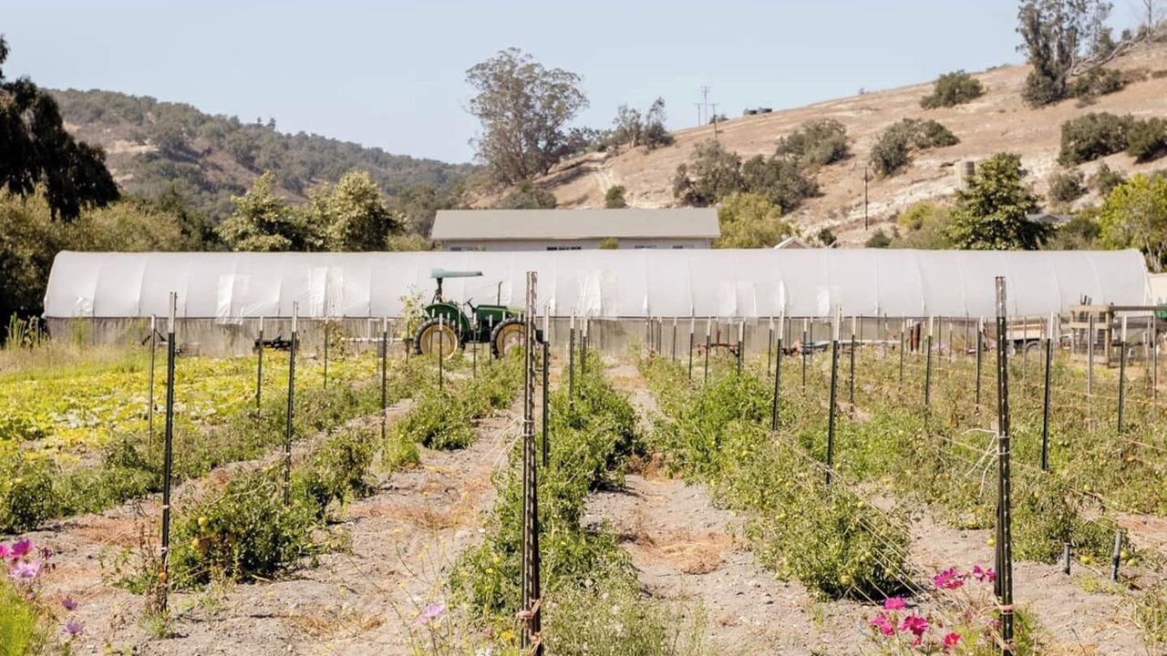 Photo of Others in Arroyo Grande