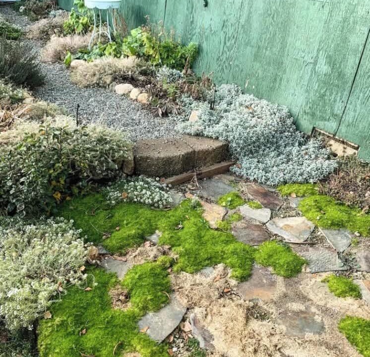 Photo of Outdoor in Dunsmuir