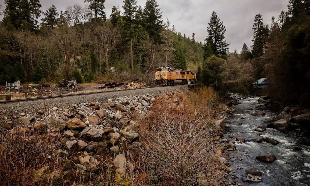 Photo of Others in Dunsmuir
