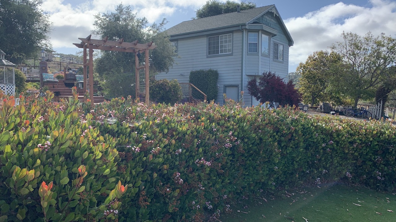 Photo of Outdoor in Arroyo Grande