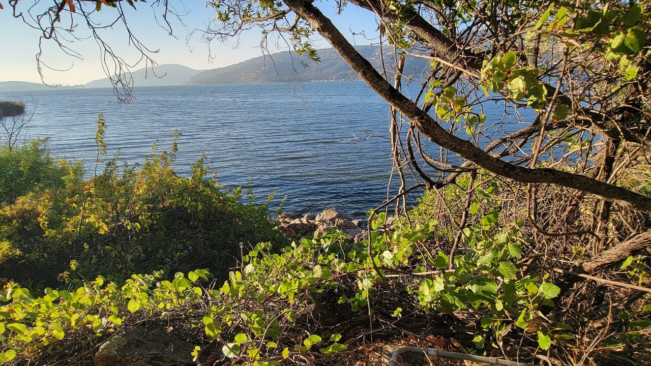 Photo of Outdoor in Clearlake