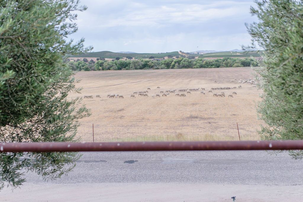 Photo of Others in San Miguel