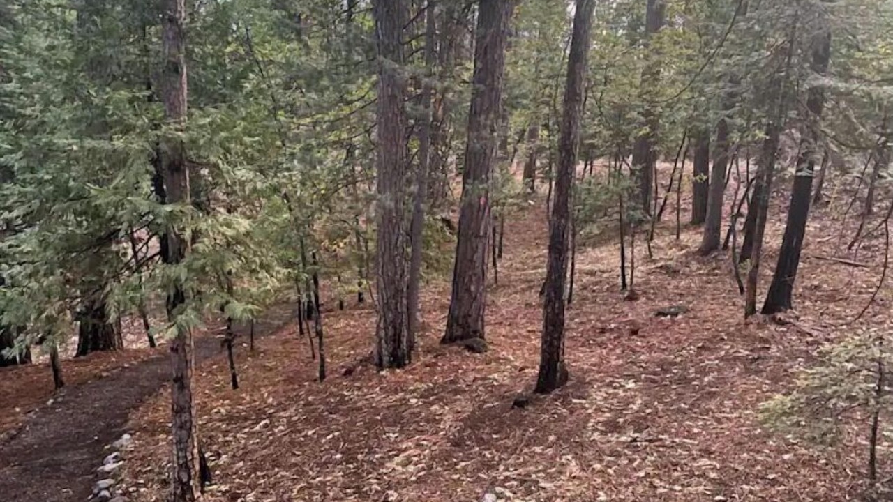 Photo of Outdoor in Arnold