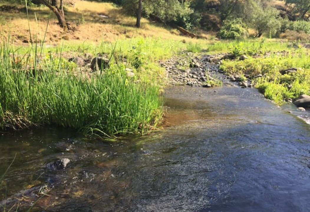 Photo of Others in Chico