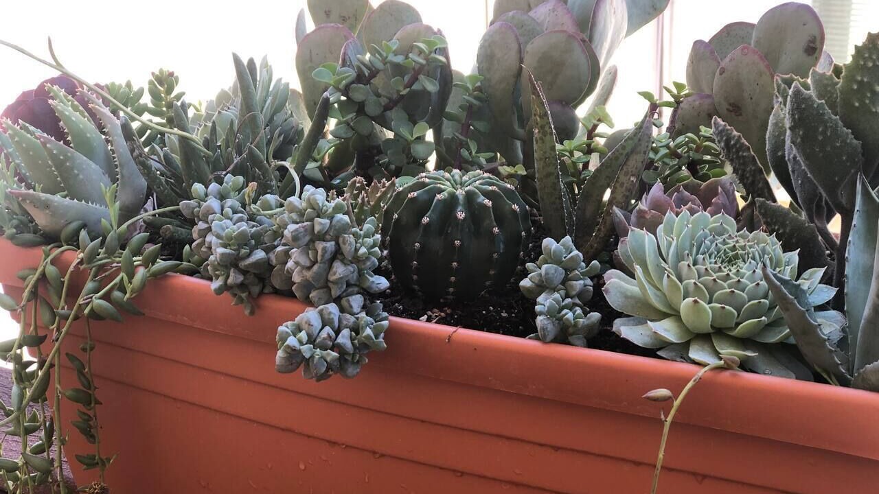 Photo of Others in Paso Robles
