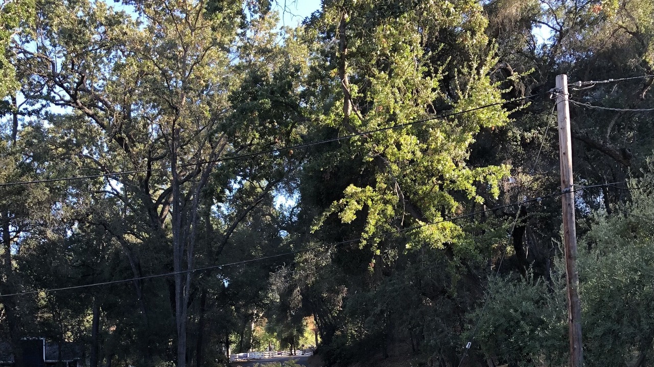 Photo of Others in Atascadero