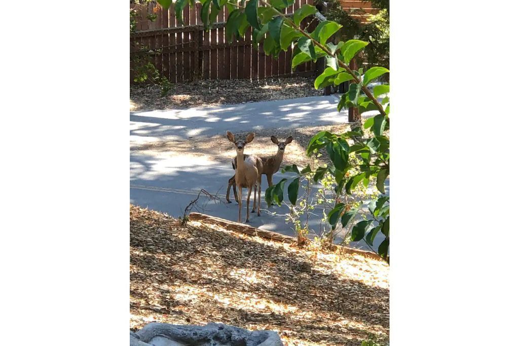 Photo of Others in Atascadero