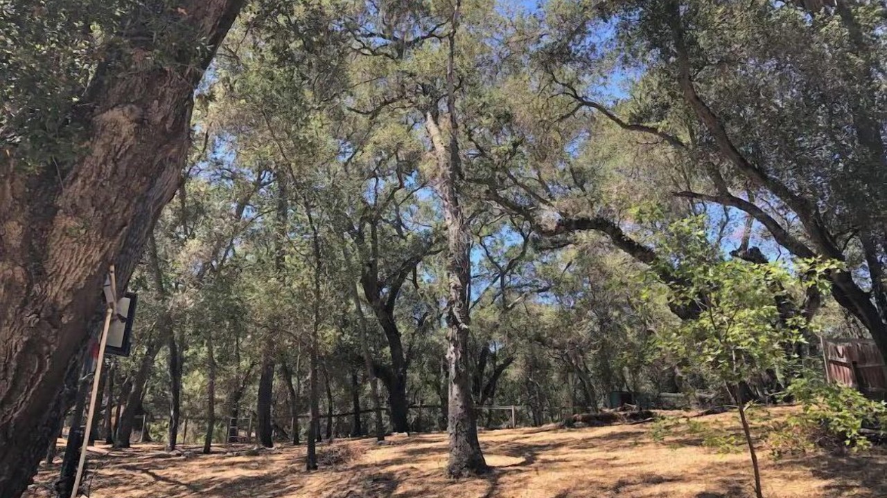 Photo of Others in Atascadero