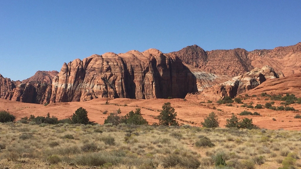 Photo of Others in St. George