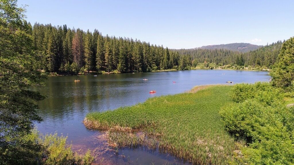 Photo of Others in Hathaway Pines
