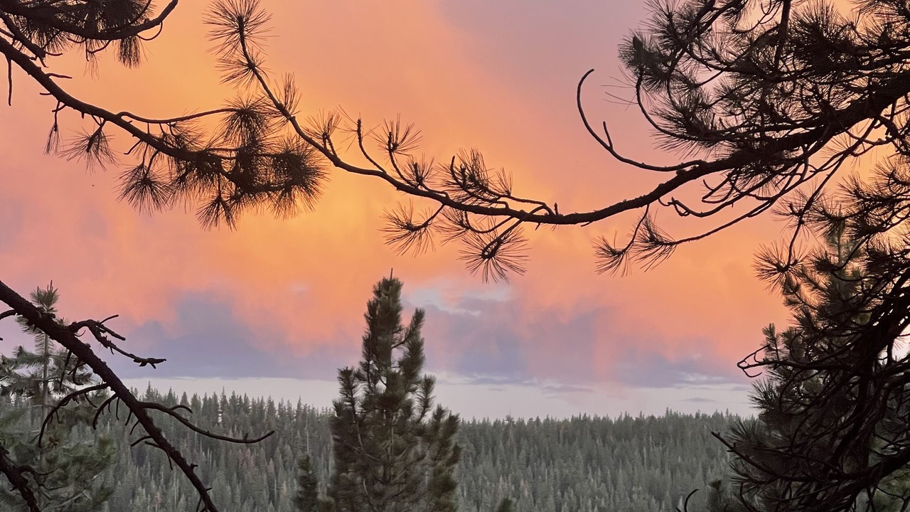 Photo of Others in Truckee
