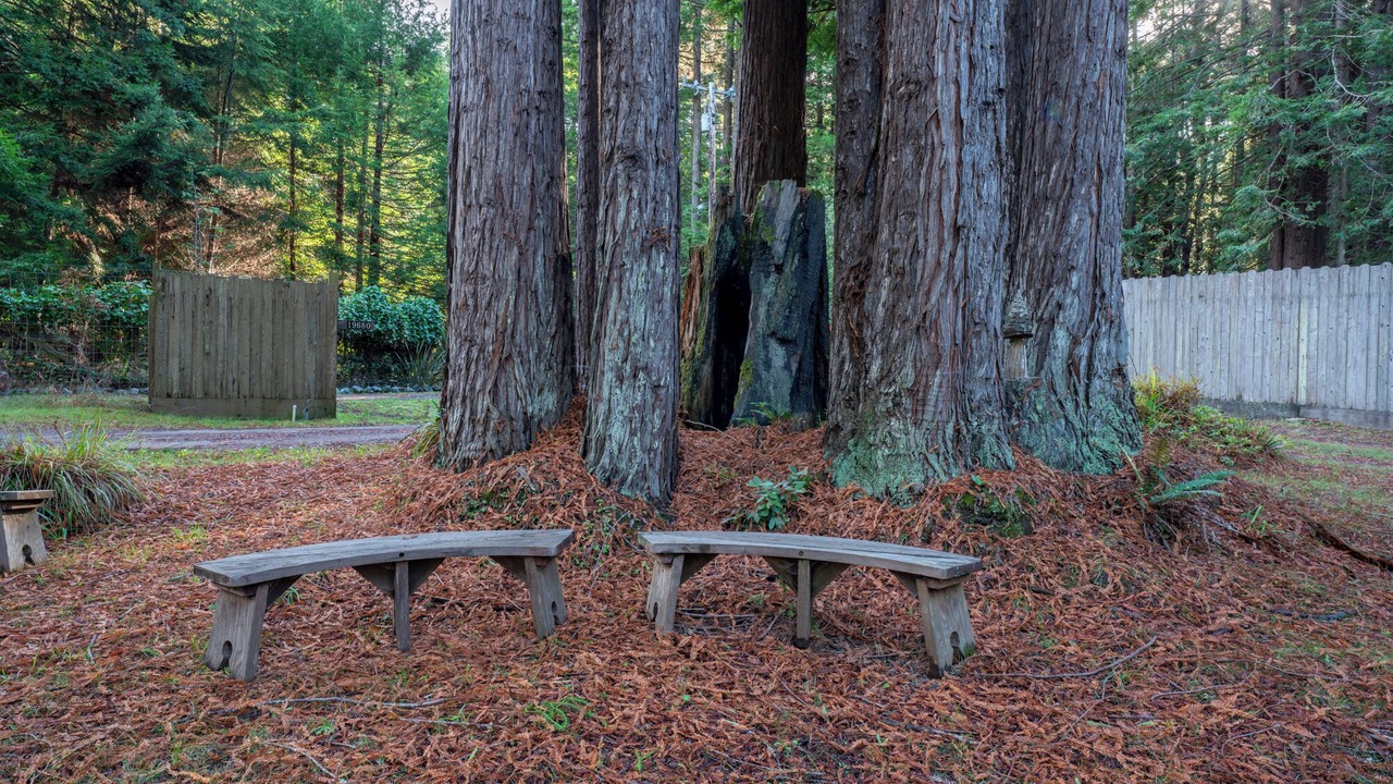 Photo of Others in Fort Bragg