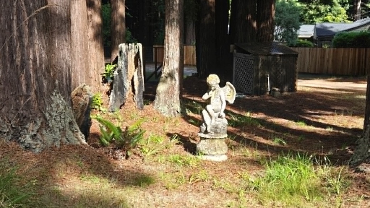 Photo of Others in Fort Bragg