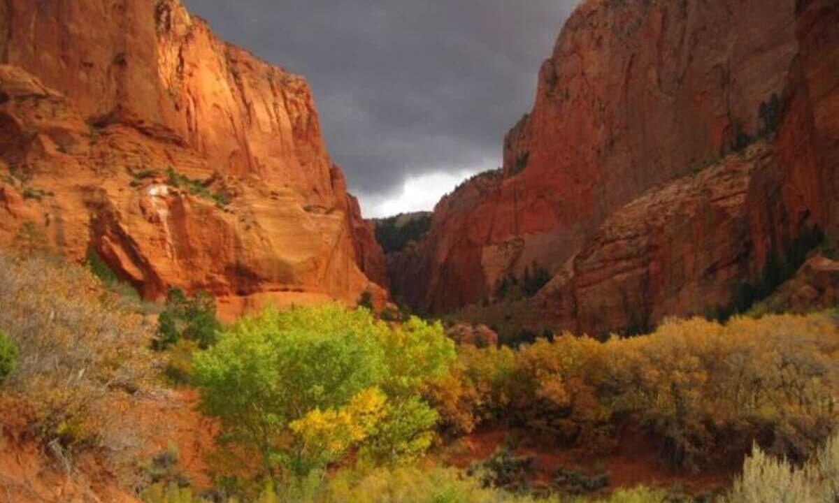 Photo of Outdoor in New Harmony