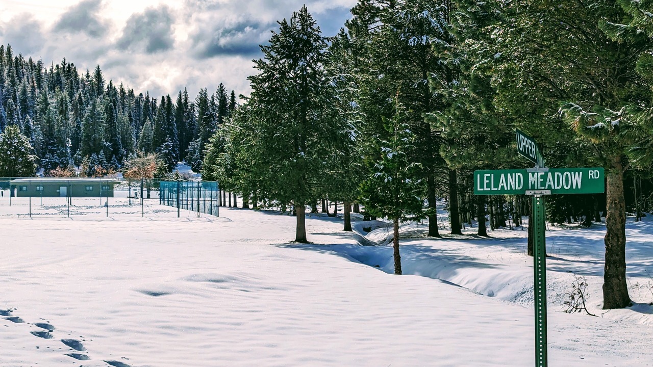 Photo of Outdoor in Pinecrest