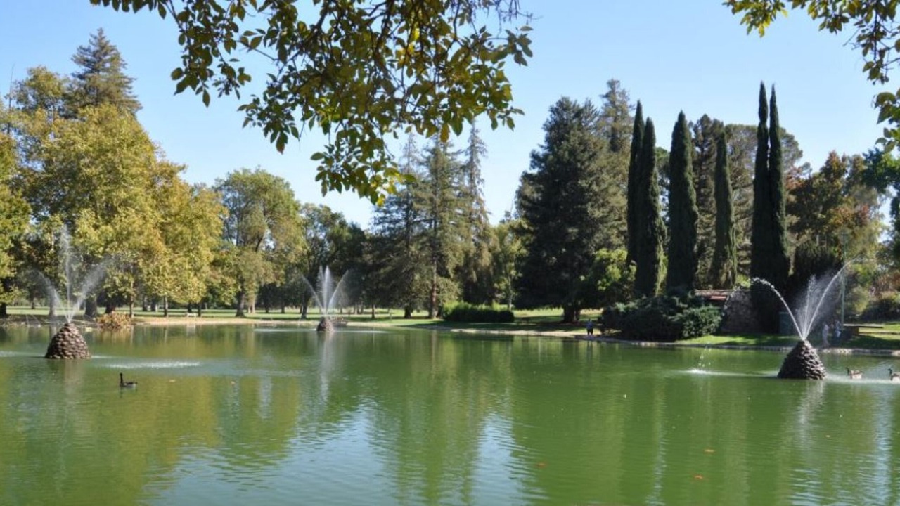 Photo of Others in North Oak Park