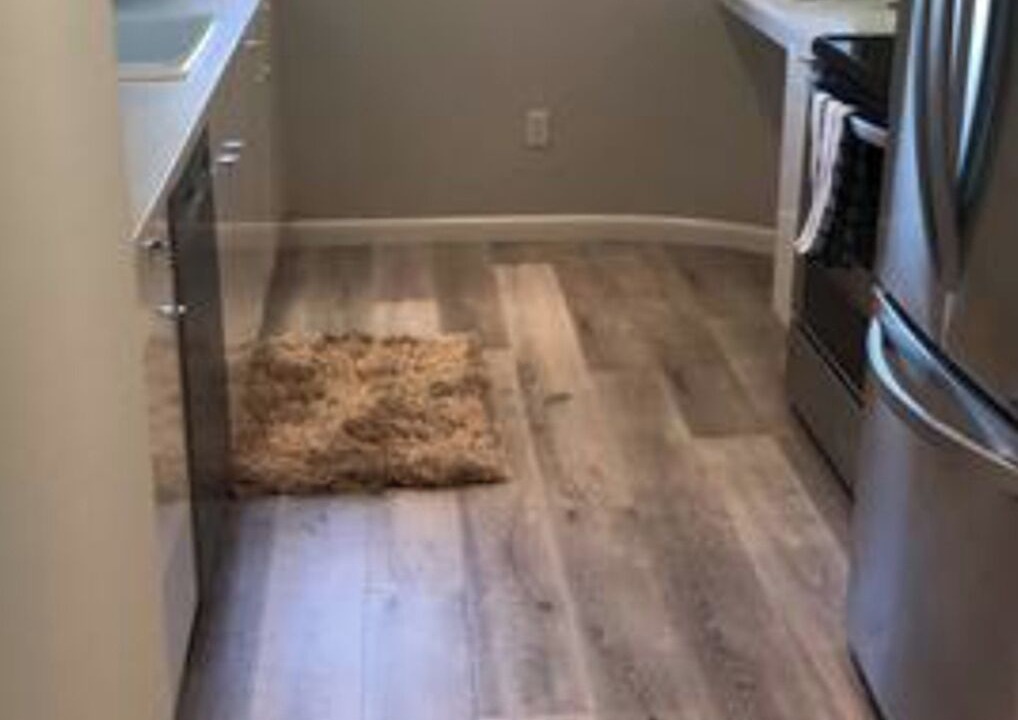 Photo of Kitchen in South Beach