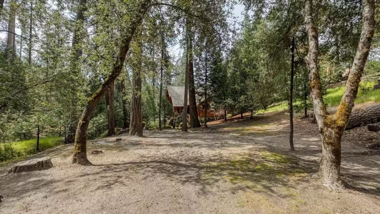 Photo of Others in Bass Lake