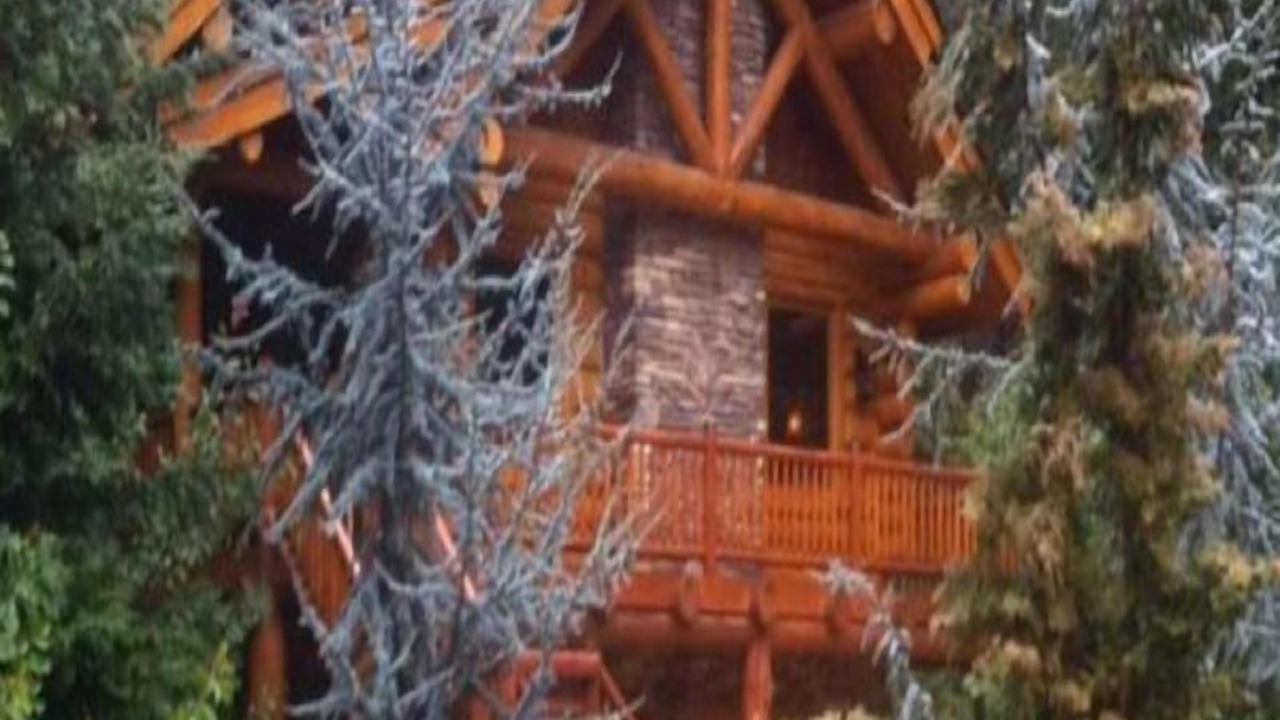Photo of Outdoor in Bass Lake
