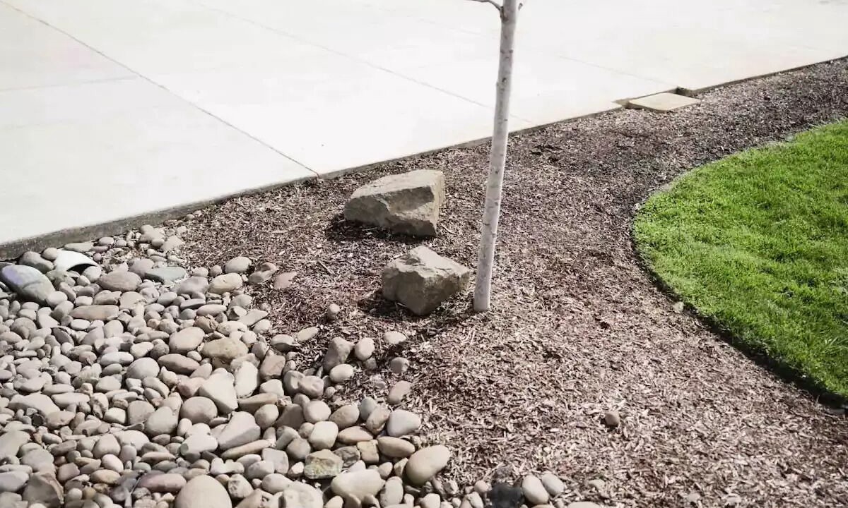 Photo of Outdoor in Keizer