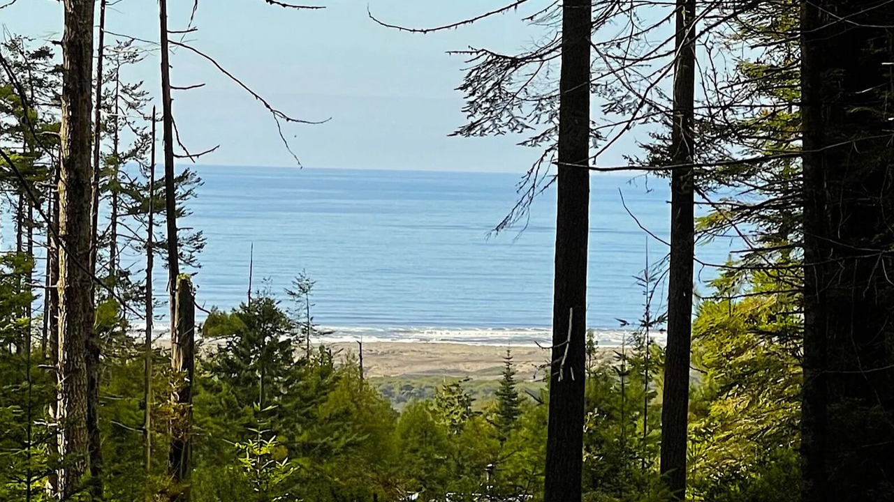 Photo of Others in Fort Bragg