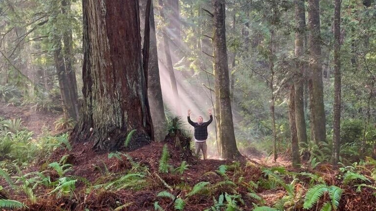 Photo of Outdoor in Fort Bragg
