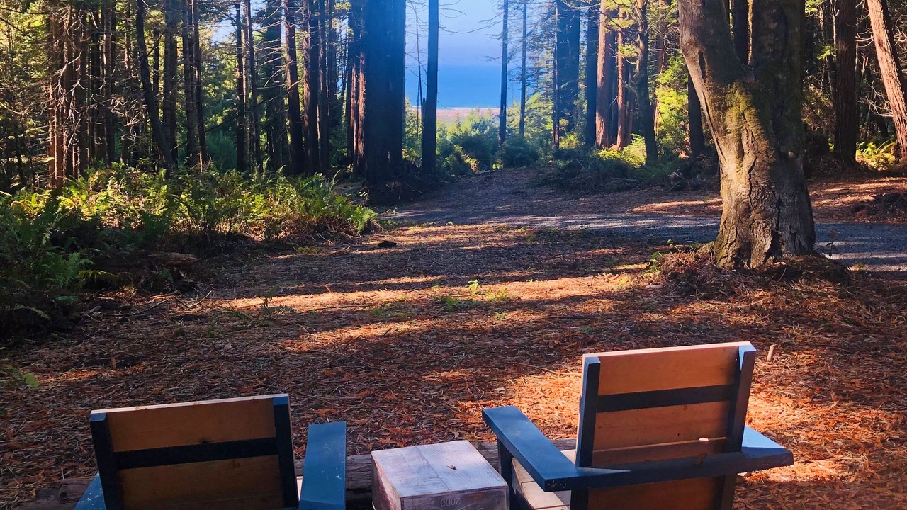 Photo of Outdoor in Fort Bragg