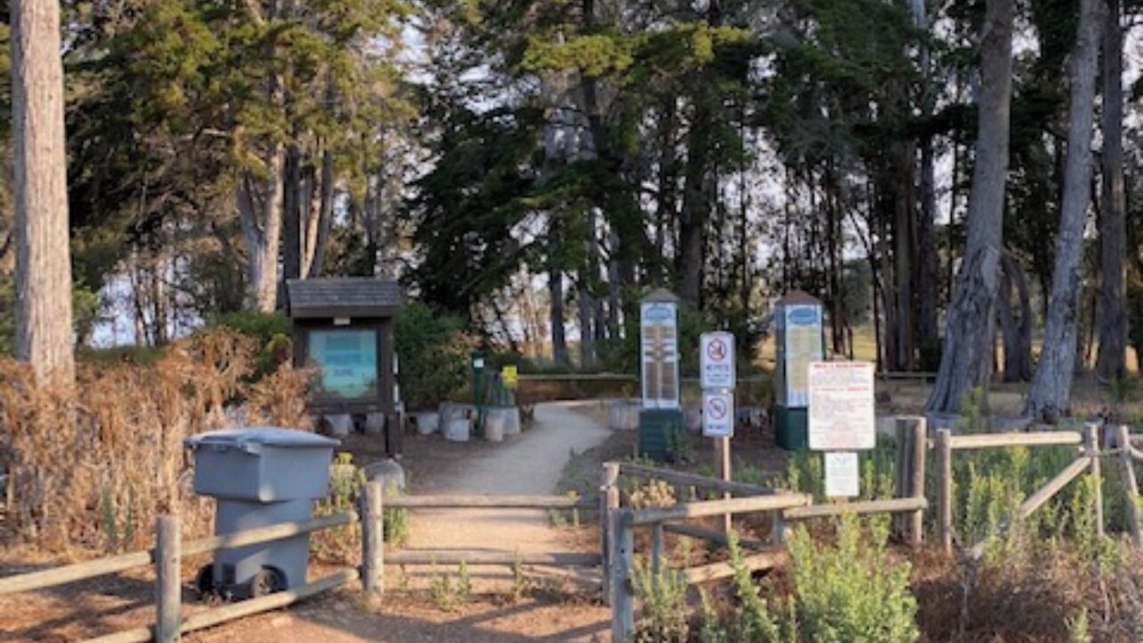 Photo of Outdoor in Los Osos