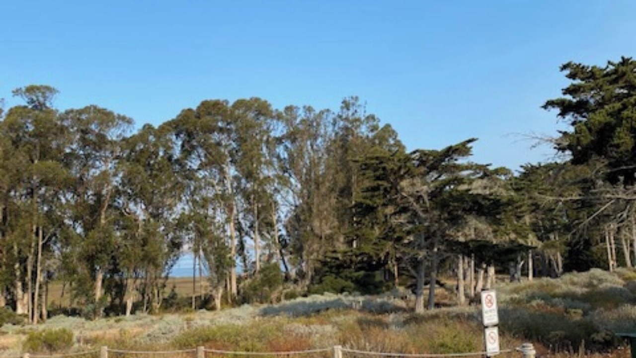 Photo of Outdoor in Los Osos