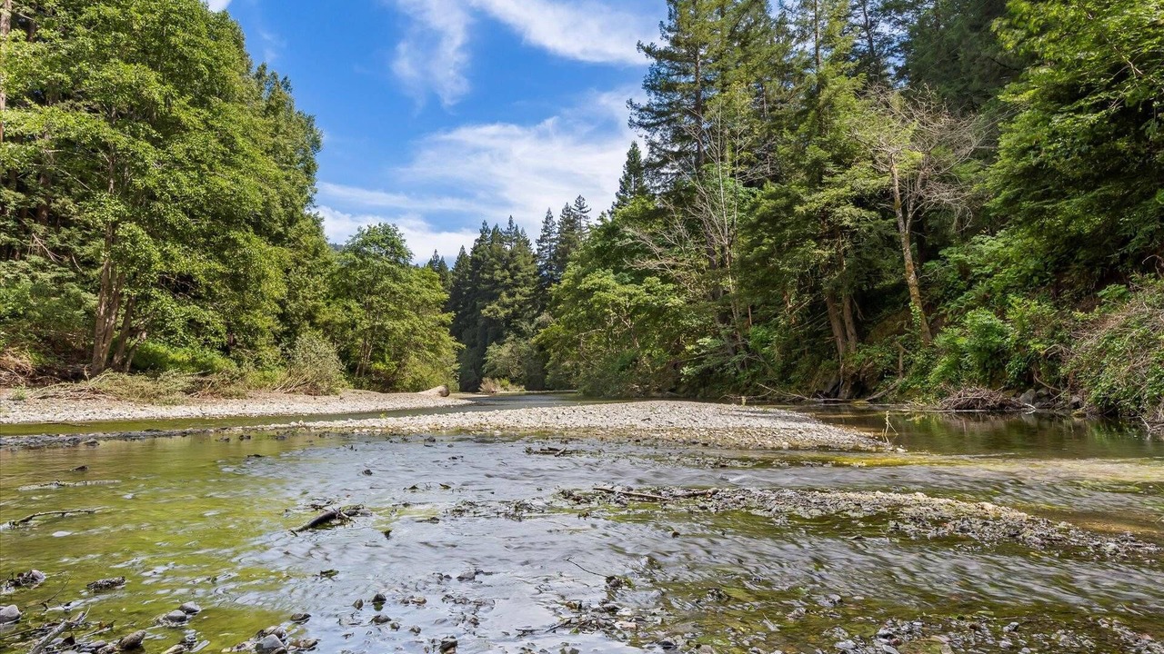 Photo of Others in Cazadero