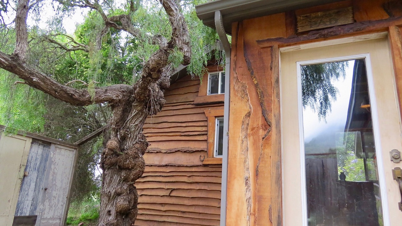 Photo of Outdoor in San Luis Obispo