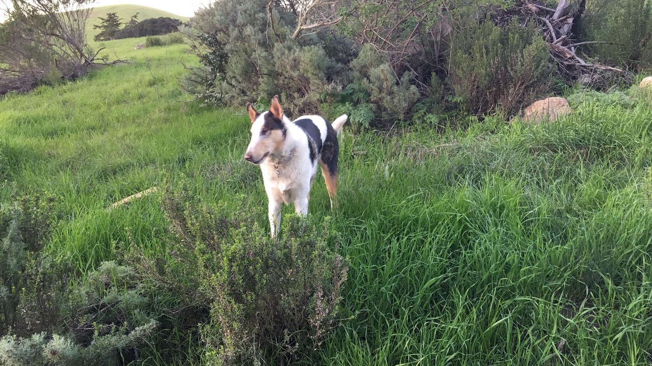 Photo of Others in San Luis Obispo