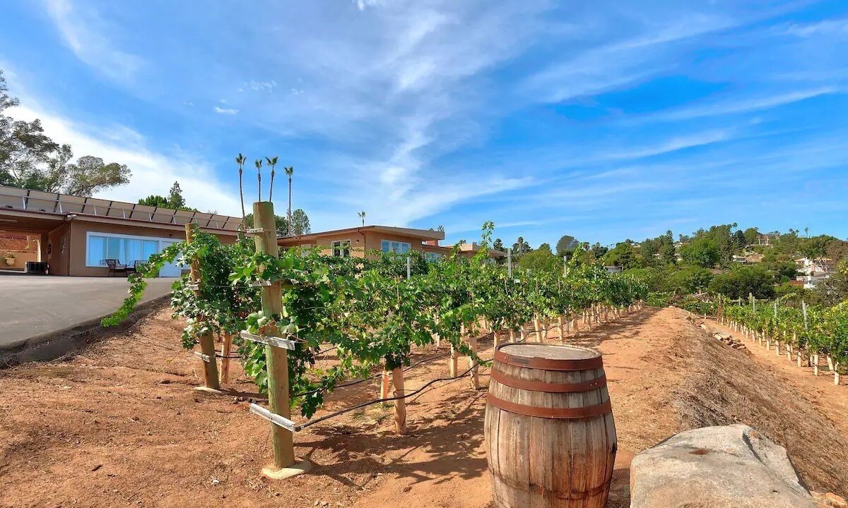 Photo of Outdoor in El Cajon