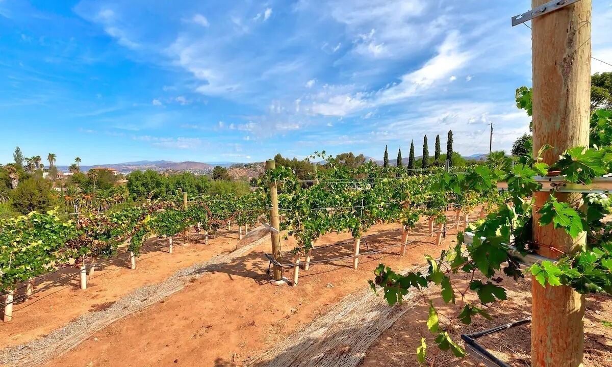 Photo of Outdoor in El Cajon