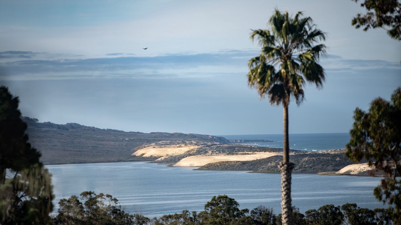 Photo of Others in Morro Bay