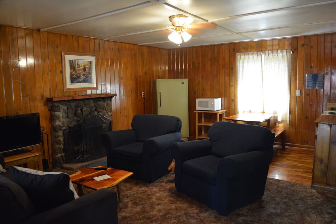 Photo of Livingroom in Pinetop