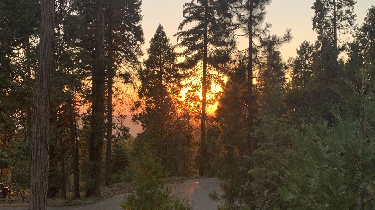 Photo of Others in Shaver Lake