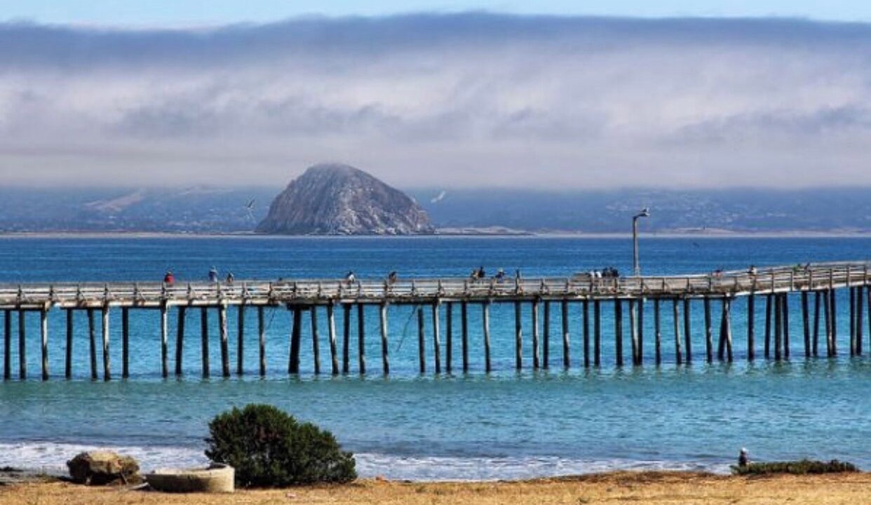 Photo of Others in Cayucos