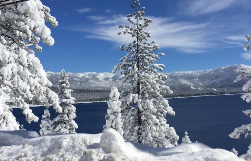 Photo of Others in Incline Village