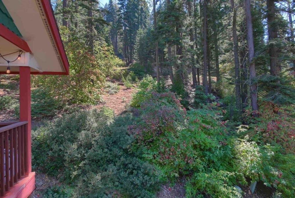 Photo of Outdoor in Yosemite West