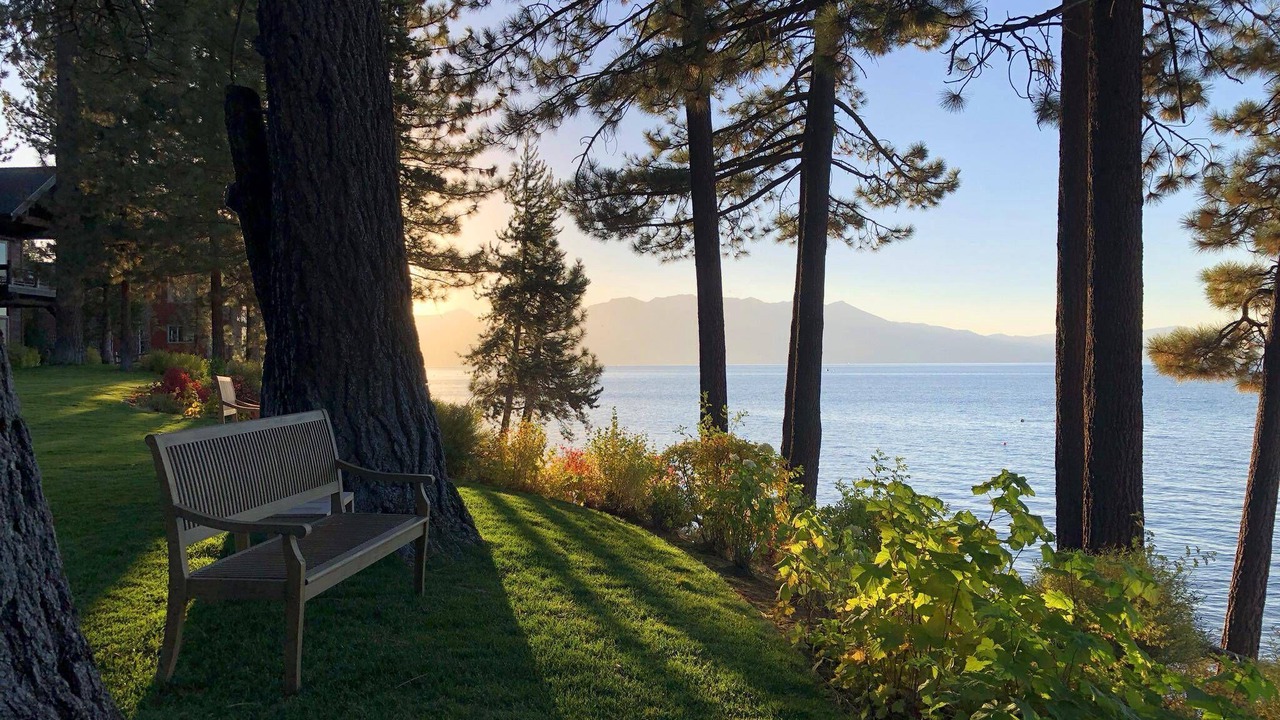 Photo of Others in Sierra Shores