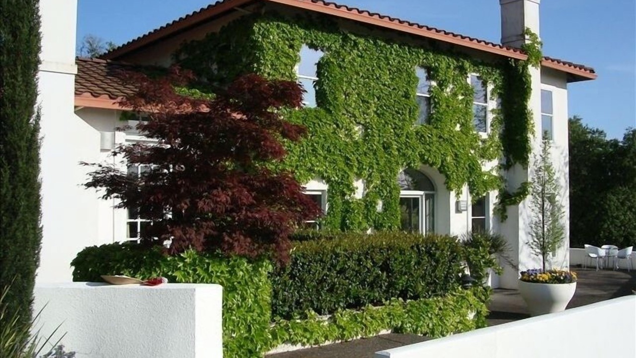 Photo of Outdoor in Santa Rosa