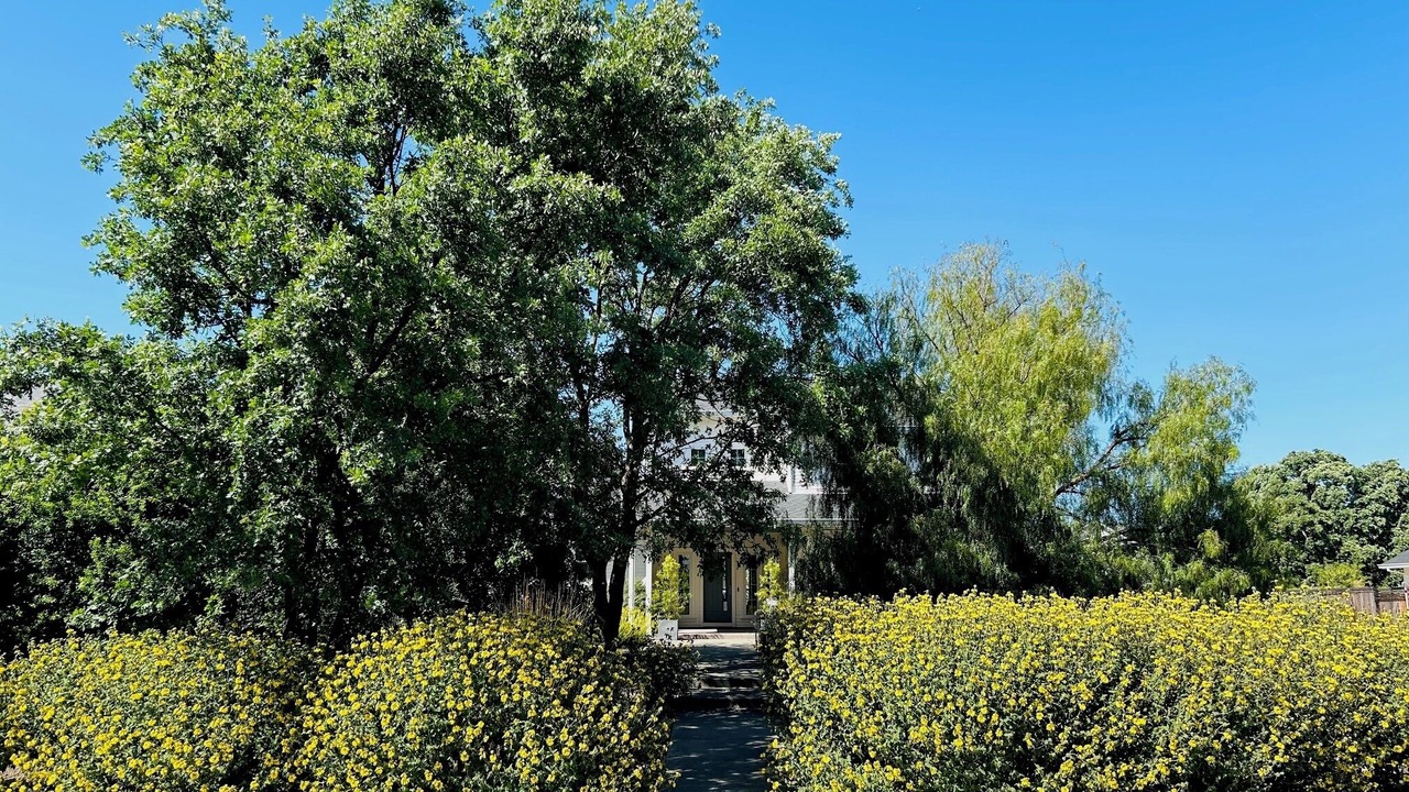 Photo of Others in Sonoma
