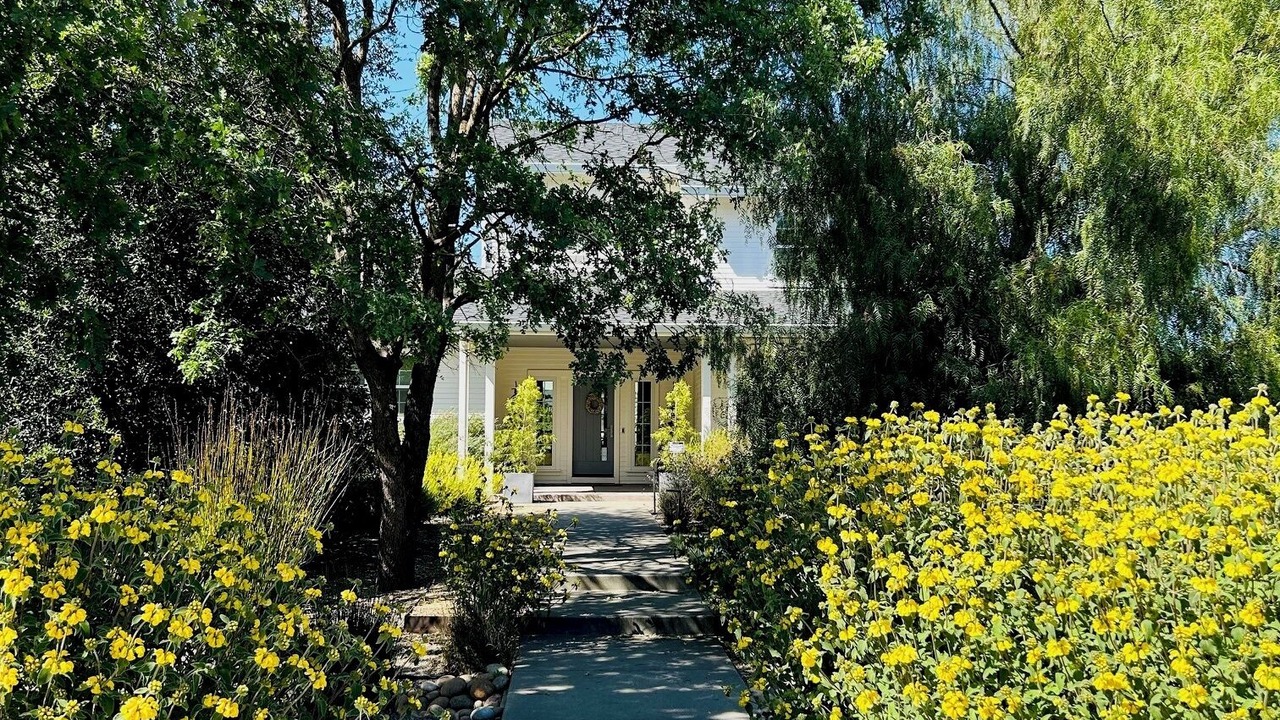Photo of Others in Sonoma