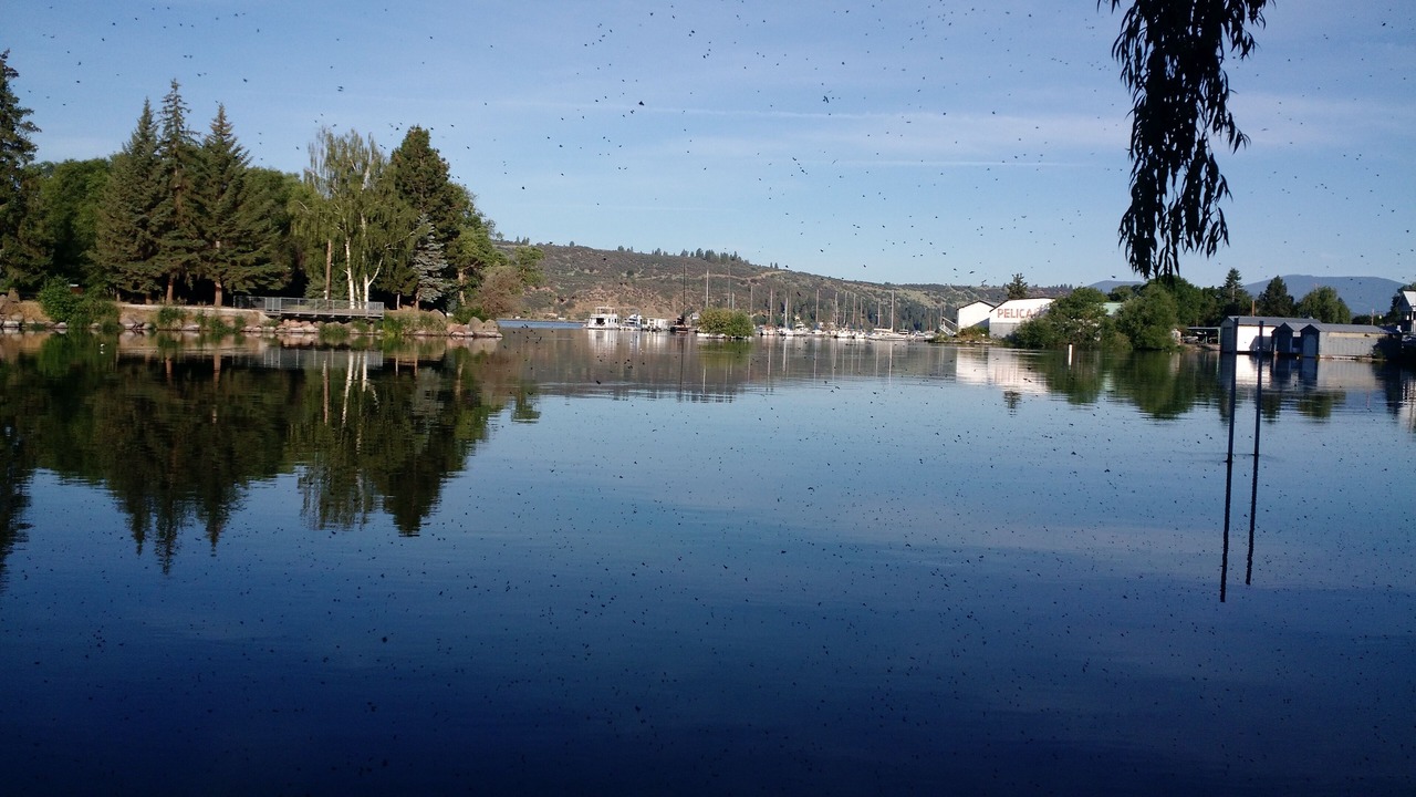 Photo of Others in Downtown Klamath Falls