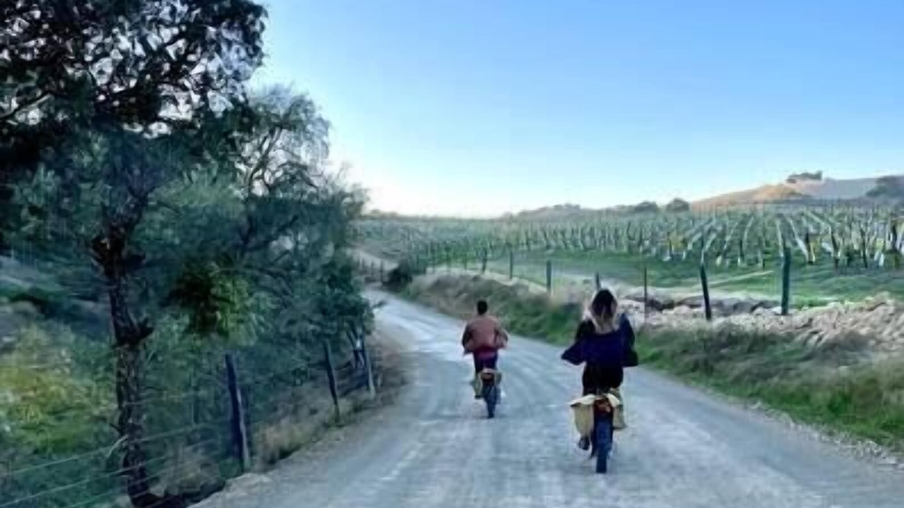 Photo of Others in Paso Robles