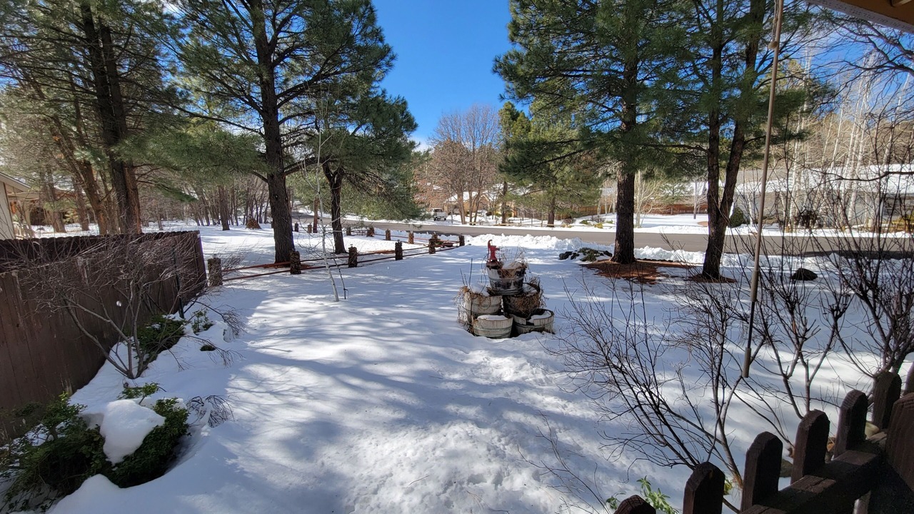Photo of Others in Pinetop