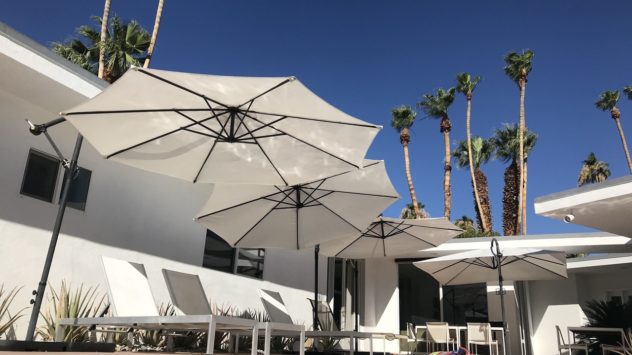 Photo of Outdoor in Twin Palms