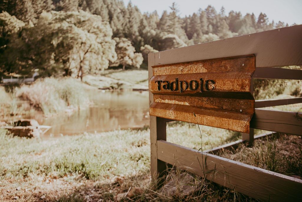 Photo of Outdoor in California Wine Country